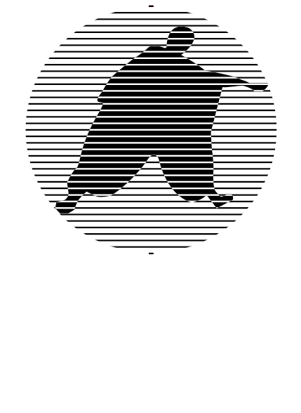 arielepsicoterapia